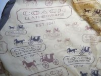 simply-thrive fake coach scarf coach paris italy 1041 front closeup.jpg
