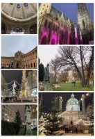 63C5A12A-DA68-4887-958B-D8A4411FF02F.jpeg