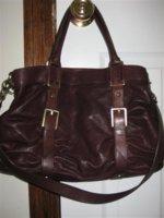 sashachocolateback (Small).JPG