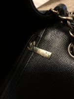 IMG_9893.jpg