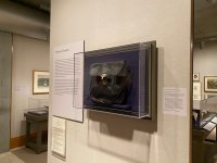 IMG_0295.jpeg