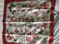 Butterfly Scarf3.jpg