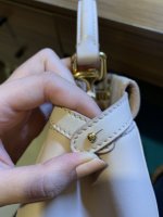 IMG_8929.jpeg