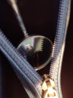 IMG_5778.JPG