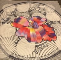 9B645266-3D90-49A9-AC1D-301CA9136B12.jpeg