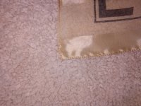 IMG_20191218_150538293.jpg