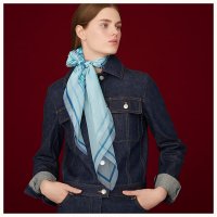 caleche-elastique-finesse-scarf-90--303559S 01-worn-5-50-0-830-830_b.jpg