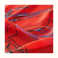 caleche-elastique-finesse-scarf-90--303559S 04-detail-2-300-0-830-830_b.jpg