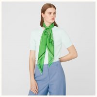 caleche-elastique-finesse-scarf-90--303559S 09-worn-5-50-0-830-830_b.jpg