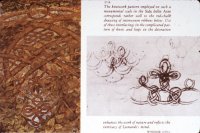 3F755C6C-8F60-4394-9820-91AB7ADADF77.jpeg