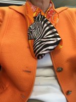 A Zebra day.jpg
