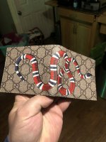 IMG_6439.jpeg