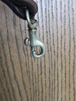 IMG_5798.jpeg