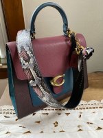 Tabby Top Handle w: TR Charm and Snake Strap.jpg
