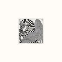 carre-nano-20-zebra-pegasus--332816S 01-flat-1-300-0-1200-1200-q99_b.jpg