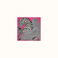 carre-nano-20-zebra-pegasus--332816S 04-flat-1-300-0-1200-1200-q99_b.jpg