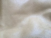 2A2B7A8B-CCAA-4115-BA33-8C34A2AB4A7B.jpeg