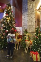 IMG_20200111_1538048~2.jpg