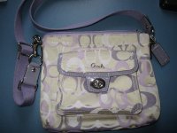 purple swingpak 003.JPG
