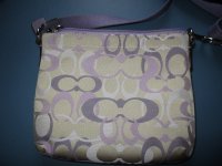 purple swingpak 004.JPG