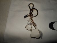 DSCN3056.jpg