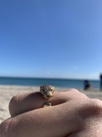 IMG_1709.jpeg