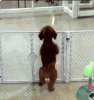 source.gif