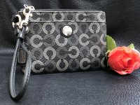 IMG_4273.jpeg