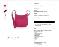 Coach fuchsia cross body bag 2020-02-02 172119.png