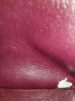 IMG_20200205_202755.jpg