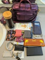Juliet Midi - Laminato Eggplant Metallic plus Dark Cherry Nappa, gold hw - WIMB 02.jpg