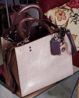 Coach 1941 Rogue 25 Metallic Leather and Snakeskin.jpg