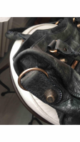 08BFFEDD-4E76-47FD-A071-A7601FC6FCF6.png
