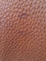 87DBA91E-749A-4665-8B08-D642A2F4059A.jpeg