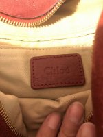 chloe tag 1.jpg