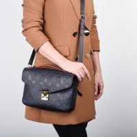 Louis Vuitton's Pochette Métis or Celine's mini belt bag and why? : r/ Louisvuitton