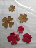 IMG_20200301_162136.jpg