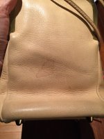 IMG_7231.JPG