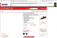 10132 Chelsea Leather Hobo Oct 2006.JPG