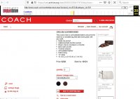 10131 Chelsea Leather Hobo Oct 2006.JPG