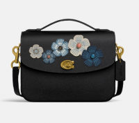 bag pic.png