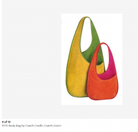 1970 body bag Bonnie Cashin.PNG