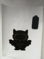 IMG_20200307_170723.jpg