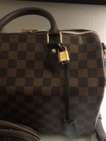 IMG_2966.jpeg