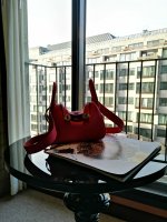 IMG_20200205_090610.jpg