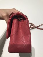 IMG_4683.jpeg