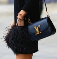 lv bag.jpg