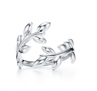 Olive leaf.PNG