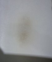 20200405_001949.jpg