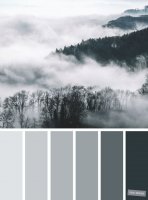 7AF61609-C6D2-4C20-A6F4-7C485751C9F1.jpeg